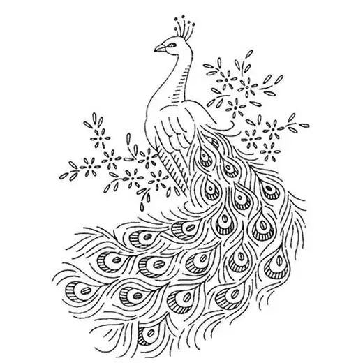 没开屏的孔雀儿童画图片_孔雀儿童绘画图集