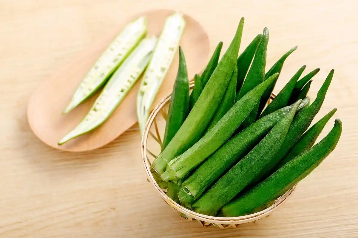 夏天适合种什么蔬菜