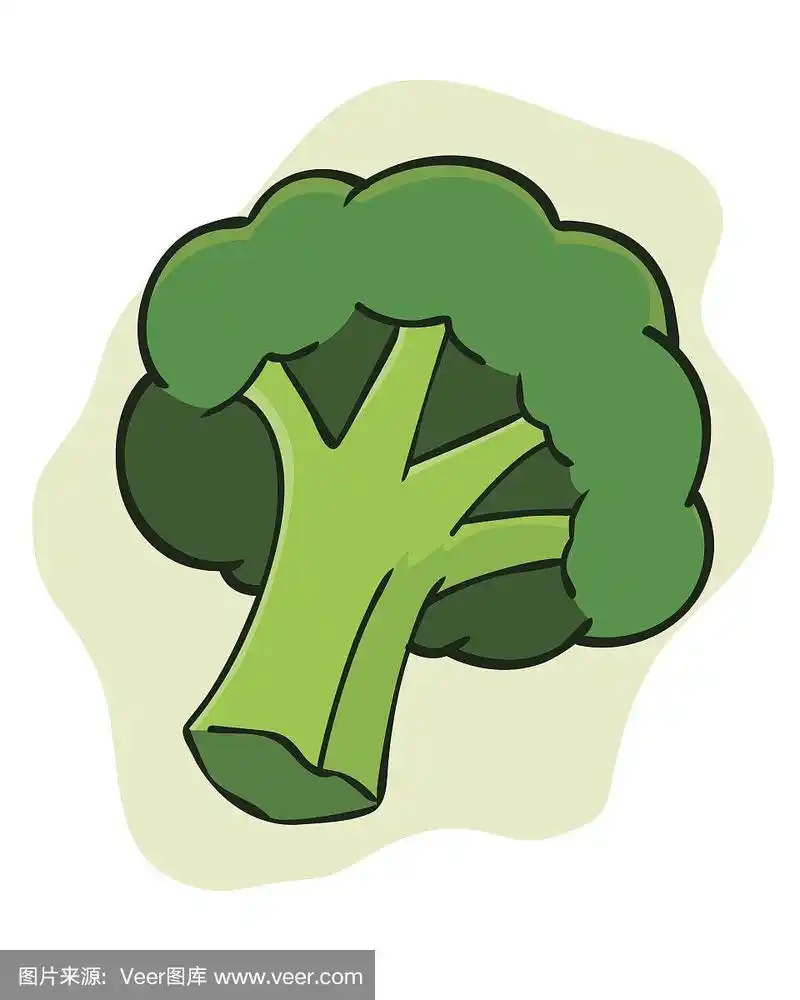 西兰花手绘