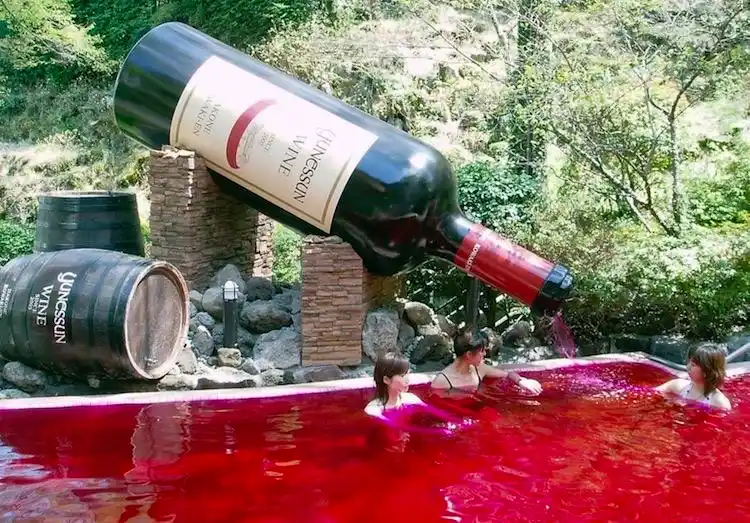 cafa知识贴——红酒浴真的有用吗?