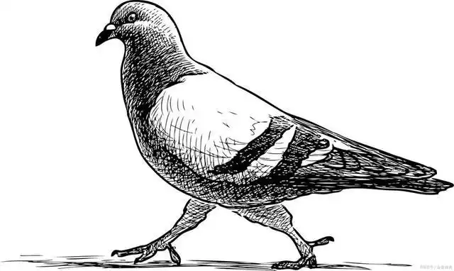 小学生素质教育第11课:拥有并且使用一本素描本学习一个月的时间