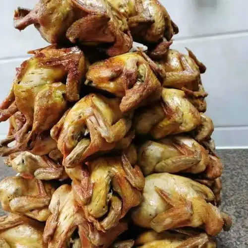 辉导【官方旗舰】广东河源特产老牌五指毛桃鸡五指毛香鸡翅 全鸡