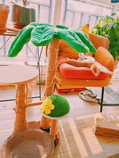 因为穷花架改做成猫爬架