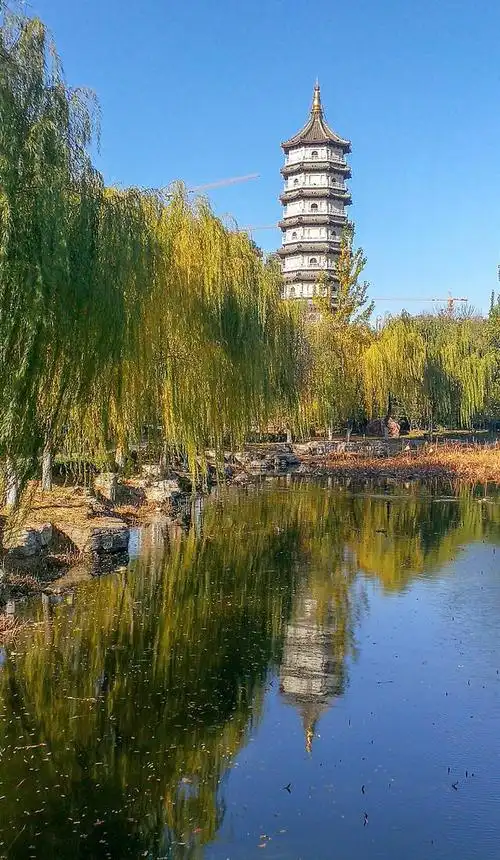 宁静花语～天津北宁公园赏花季