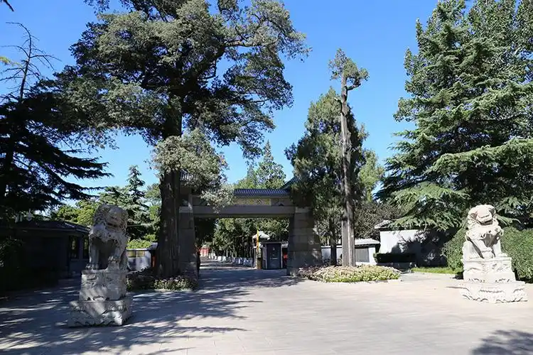 八宝山革命公墓骨灰寄存申请表是怎样的