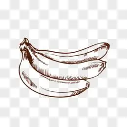 手绘线描水果香蕉免抠装饰 元素
