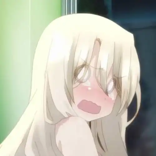 fatekaleidliner魔法少女伊莉雅头像