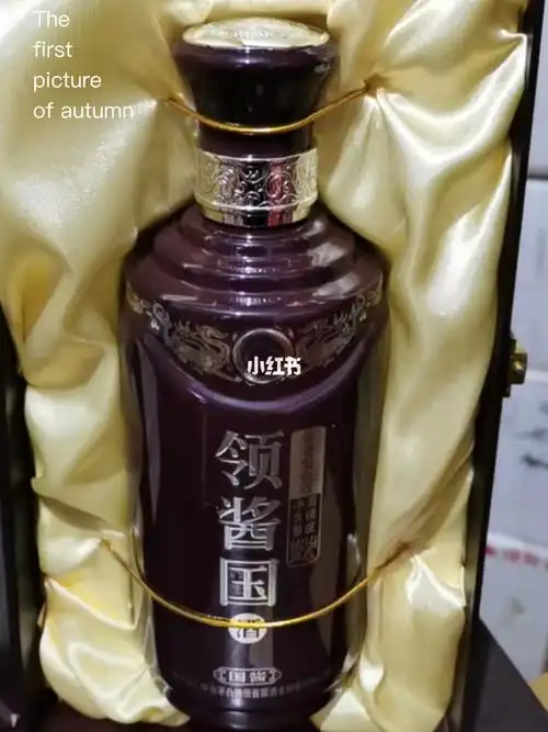 2013年娃哈哈集团生产的领酱国国酱