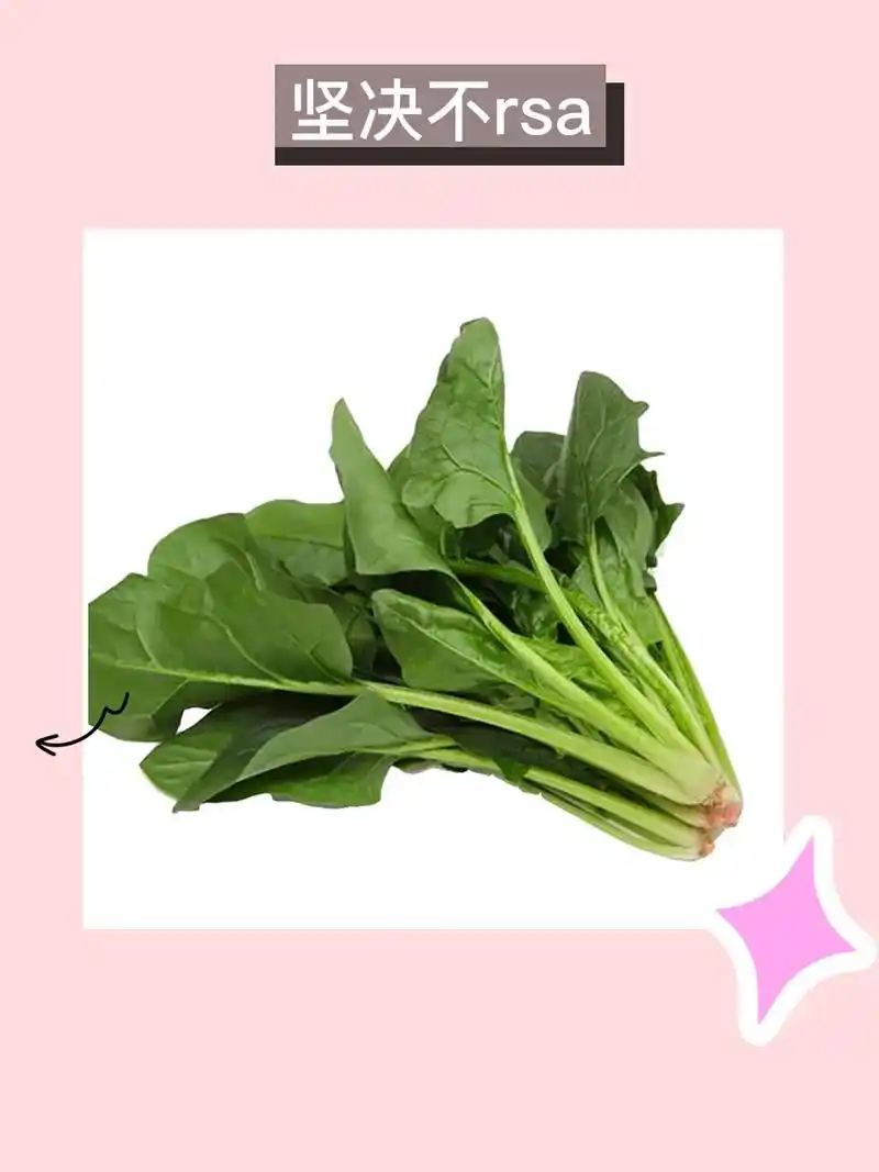 四季蔬菜秋冬必备!大叶菠菜种子来啦! - 抖音