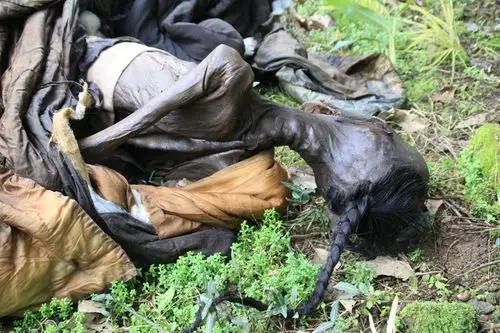 福建清朝官员古墓被盗尸体被丢弃