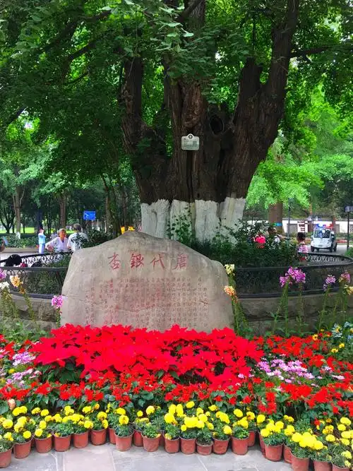 成都百花潭公园