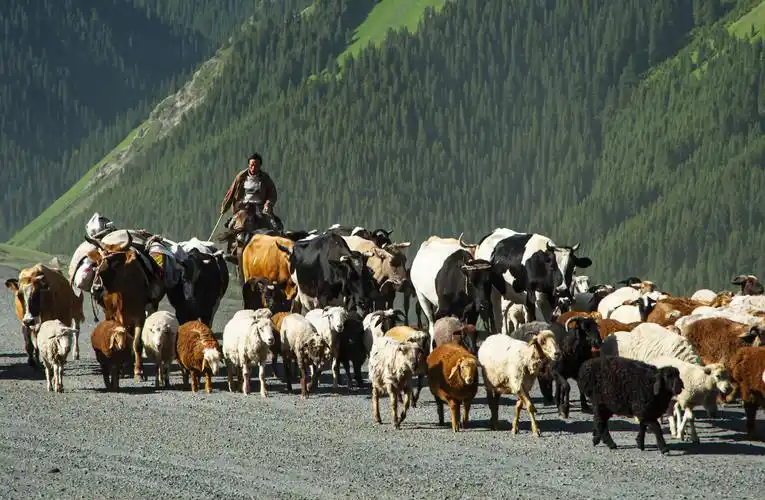 《天山脚下》新疆人文风情(六)