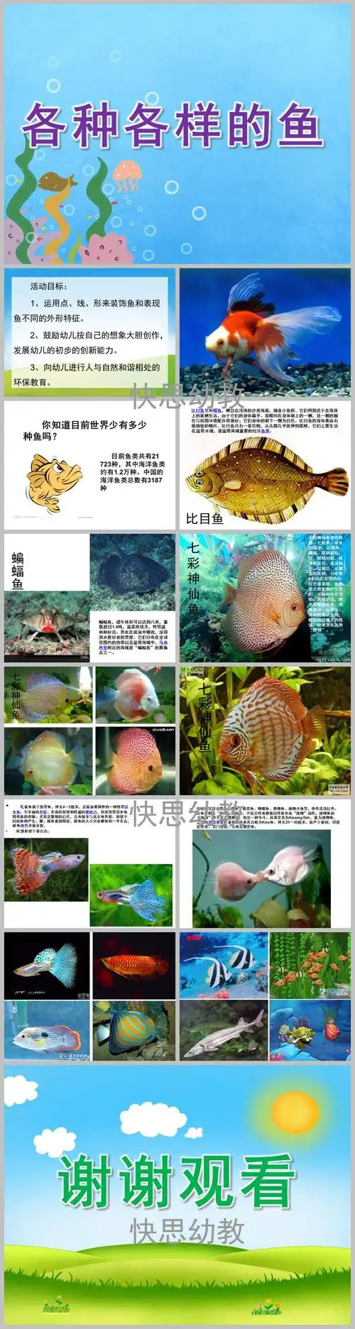 幼儿园综合各种各样的鱼ppt课件教案