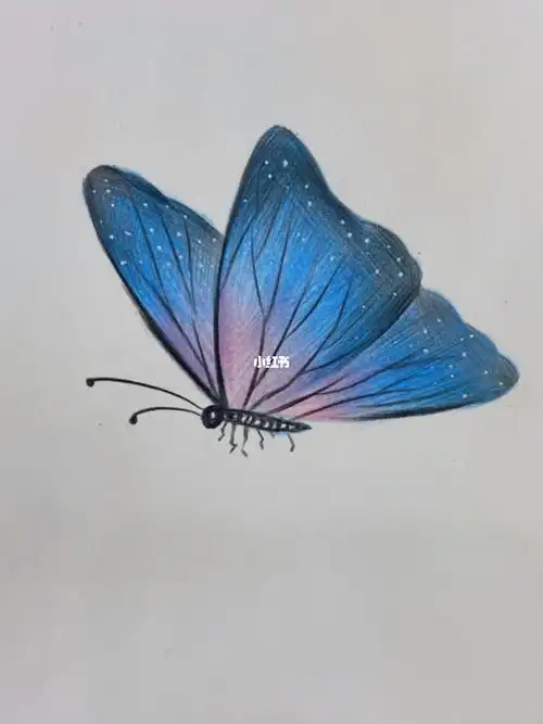 零基础一学就会的彩铅蝴蝶教程