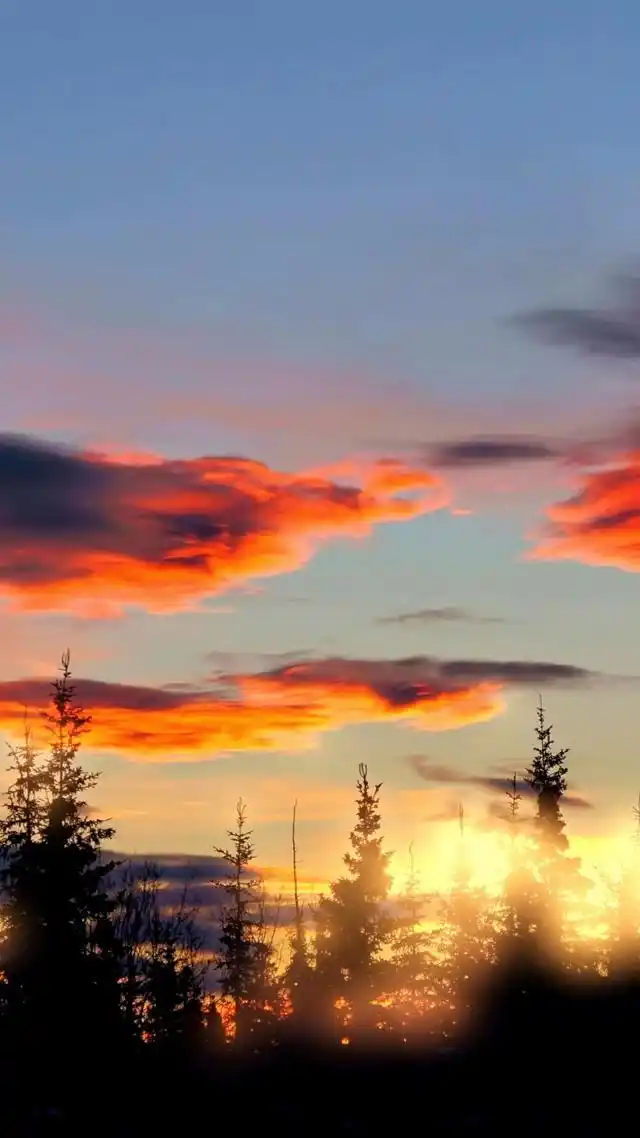 「壁纸」小清新壁纸,与众不同 无水印高清壁纸