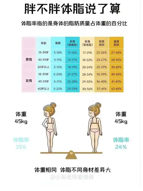 练出腹肌马甲线必备干货体脂率