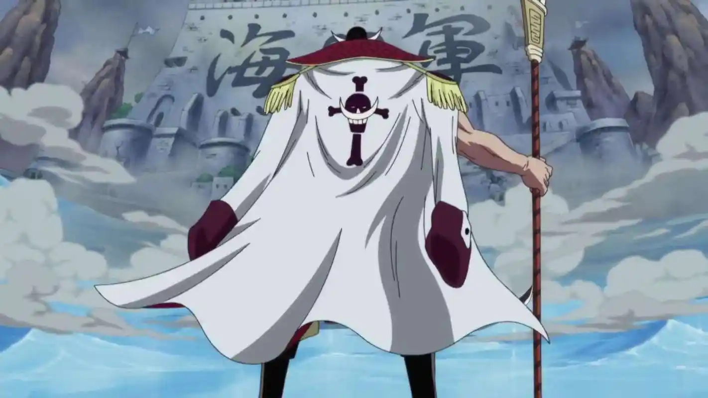 海贼王从现在新世界的格局来看顶上战争的胜利者是白胡子