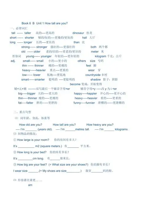 新版人教版六年级英语下册知识点总结