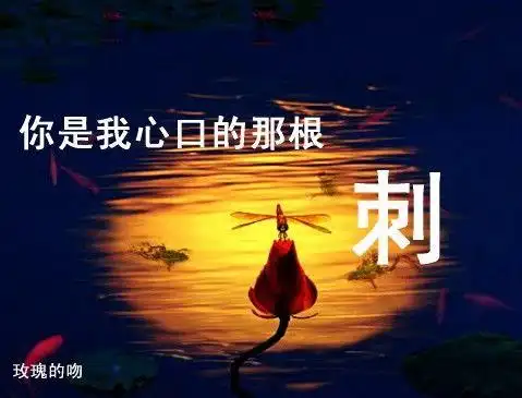 你是我心口的那根刺