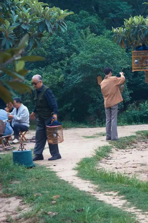 遛鸟3墨镜大爷出场