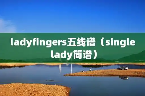 ladyfingers五线谱(single lady简谱)