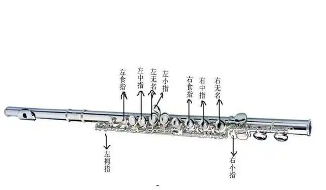 长笛基本指法图解