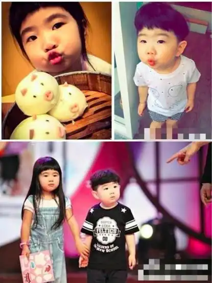 贾乃亮喜得双胞胎是男孩还是女孩贾乃亮喜得双胞胎是真的吗