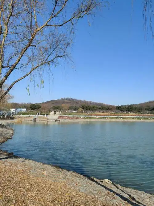 羊山公园真不错