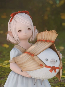 ff14 最终幻想 宠物 沙狐 蓝闪蝶 猫小胖 豆豆柴 海豹 银山雀 宠