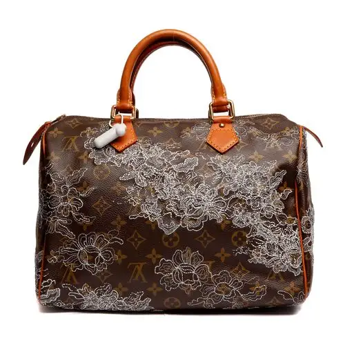 louis vuitton(路易威登)女士老花色限量版刺绣手提包