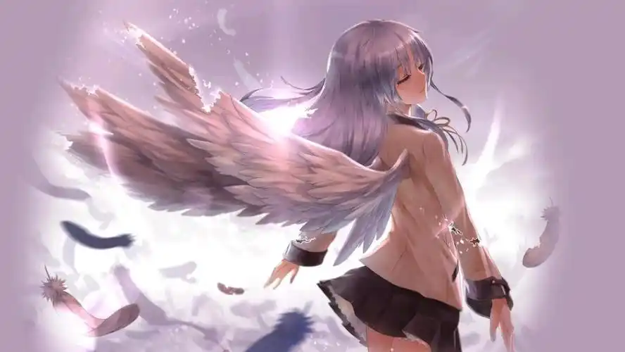 立华奏 美图/壁纸合集③