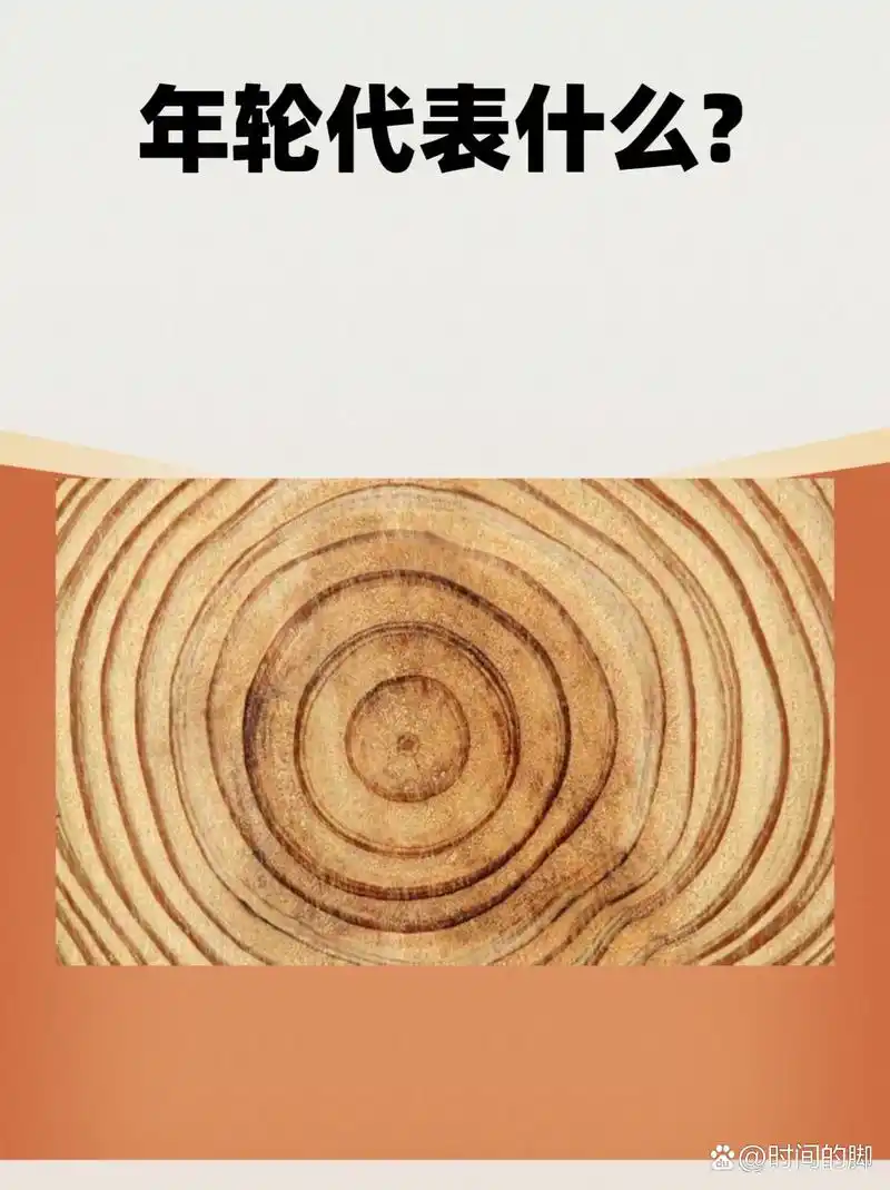 年轮代表什么? 问题一:年轮是什么意思? 1.