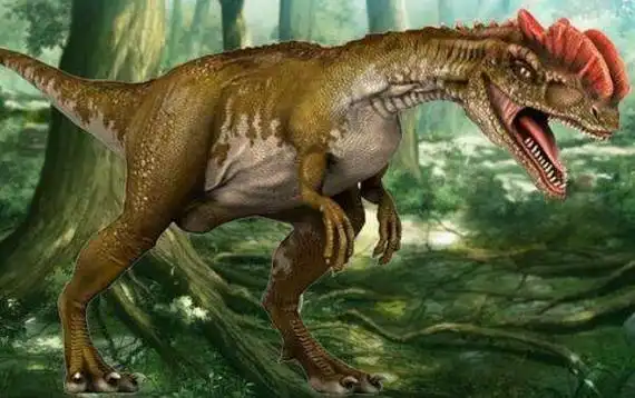 双冠龙:会喷毒液的食肉恐龙(长6米/出土于中国云南)