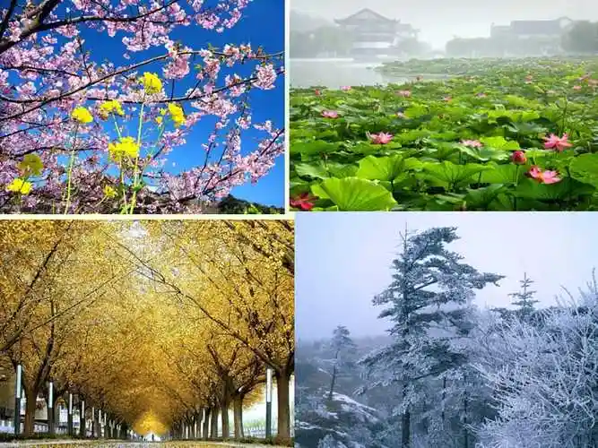 写好四季的景色ppt课件ppt