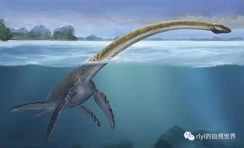 【恐龙探索】飞檐走壁——棱齿龙!