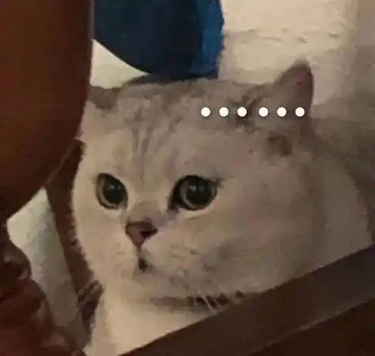 沙雕搞笑表情包:爱宝回来吧_公众_人生_什么