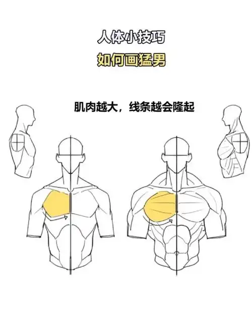 如何画一个肌肉男～纯干