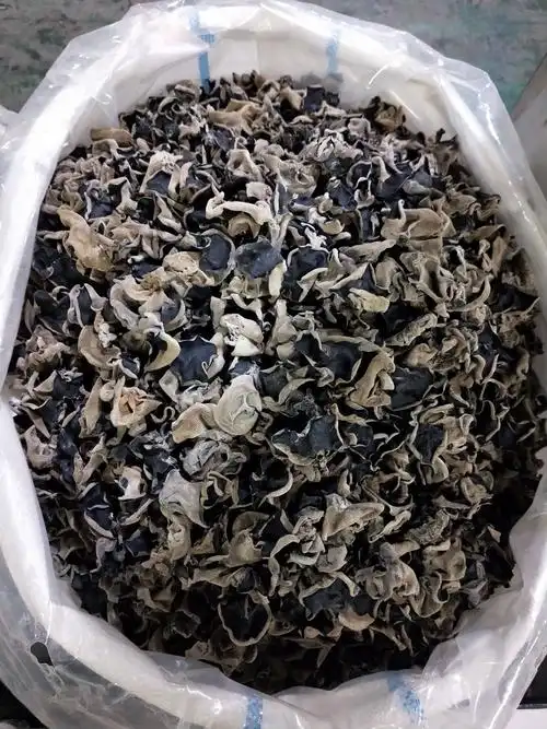 [黑木耳批发]黑木耳 干木耳 特级 价格45元/斤 - 惠农网