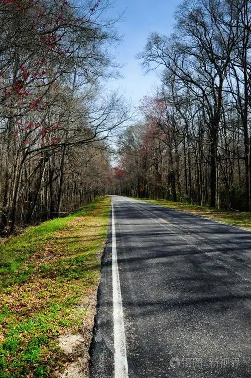 乡村道路照片-正版商用图片195mmj-摄图新视界