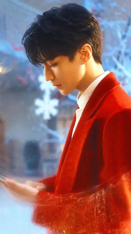 王俊凯:7上央视春晚仍然紧张