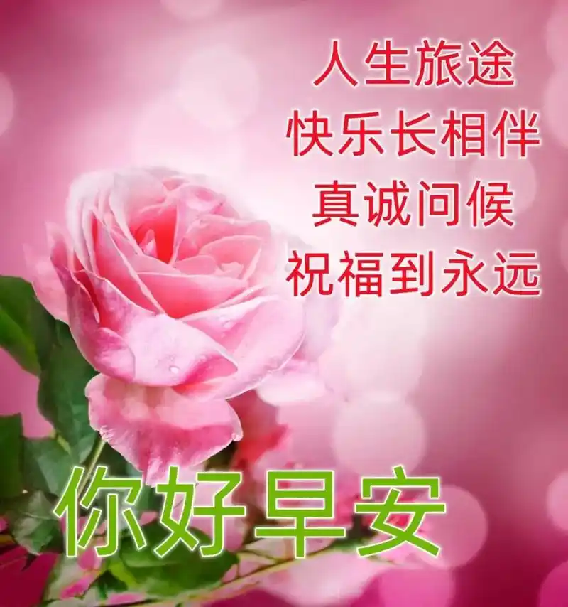 清晨超暖心早安问候语图片表情带字,早安清晨短信问候祝福语
