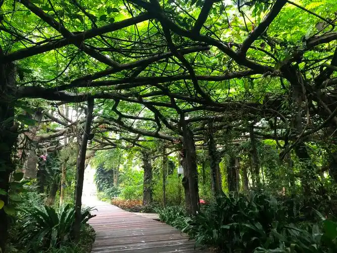 专类园区 - 广西壮族自治区药用植物园