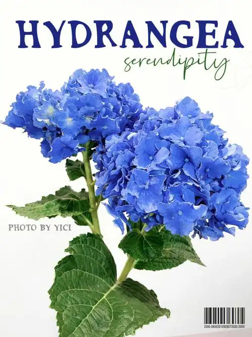 绣球丨长的很随意的细高跟x2