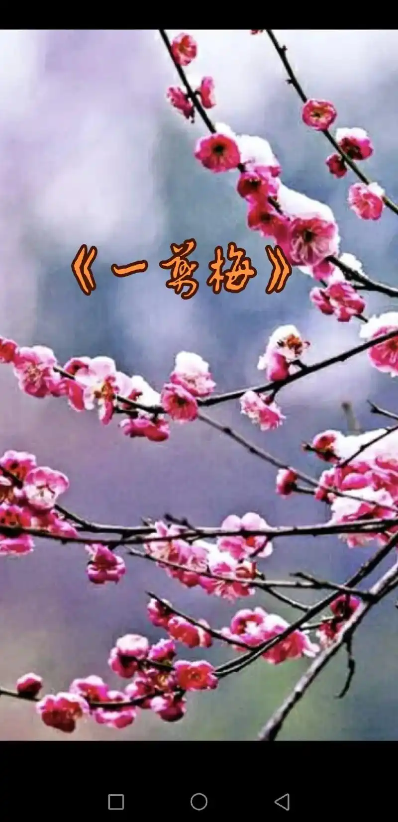 经典老歌《一剪梅》完整版#演唱#费玉清 - 抖音