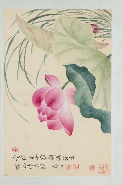 工笔鱼儿说画#清 恽寿平《花卉册》日本大阪市立美术馆藏