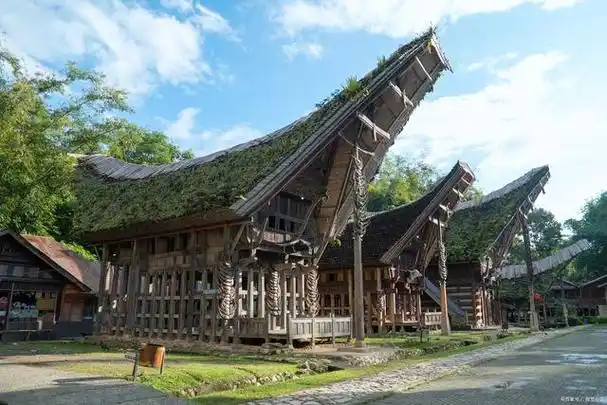 这种房屋具有独特的建筑风格和特点,是黎族人民在长期适应自然环境