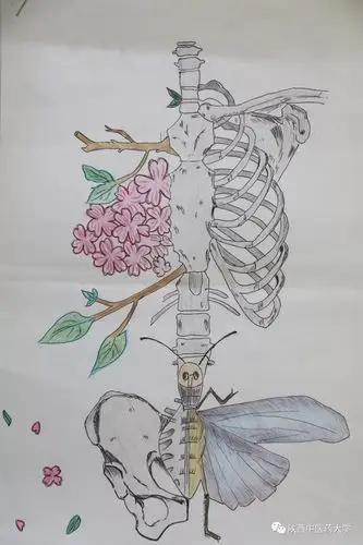 最佳创意奖 | 首届"思邈杯"医药绘画大赛网络投票开始啦_陕西中医药