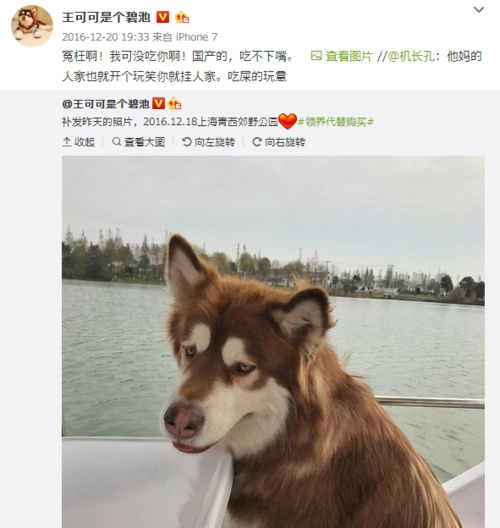 王思聪爱犬王可可晒食物网友狗粮也吃不起了