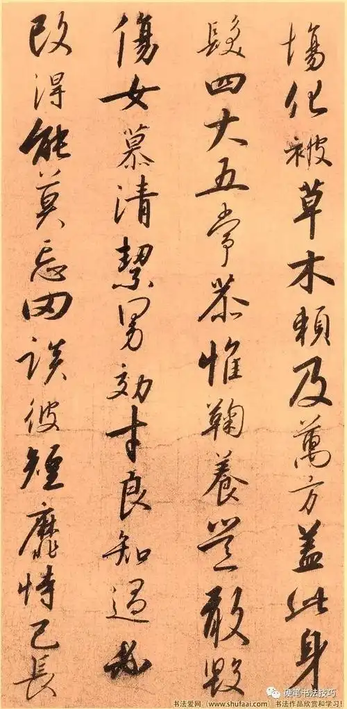 宋高宗赵构草书《千字文》书法作品欣赏收藏版