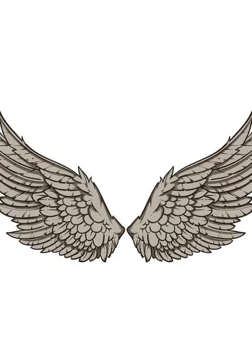 矢量的翅膀插图图片-创意的翅膀插图矢量设计素材-高清图片-摄影照片